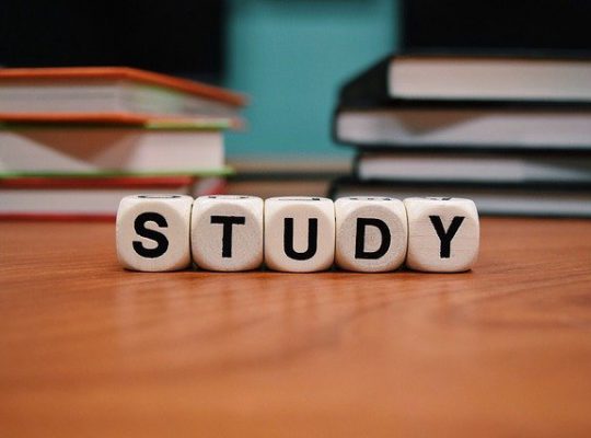 studia podyplomowe co to