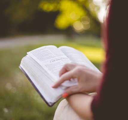 jakie studia wybrać